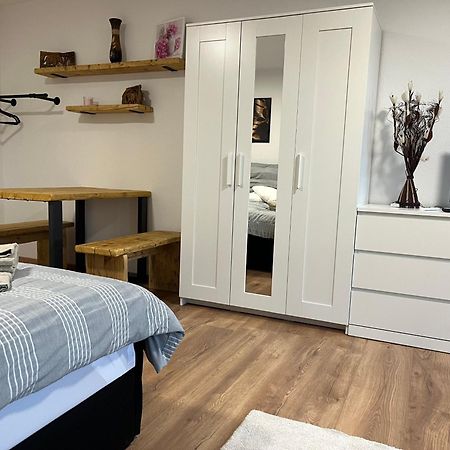 Studio An Der Elbe Mit Balkon, Kueche Und Netflix Dresda Exterior foto